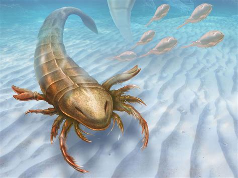 Prehistoric sea scorpion that grew to 6ft in length named after Trojan ...