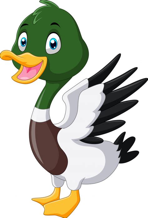 Premium Vector | Cute cartoon mallard duck smile