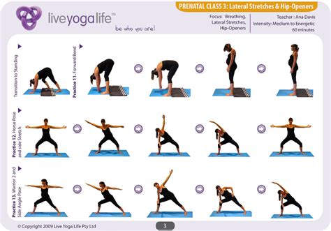Prenatal Yoga Complete Set  Classes 1 to 7  | Live Yoga Life