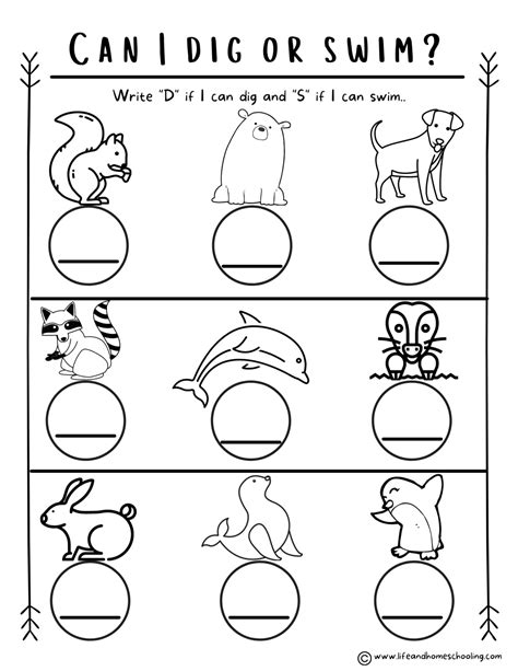 Preschool Kindergarten Animal Worksheets   Made By Teachers