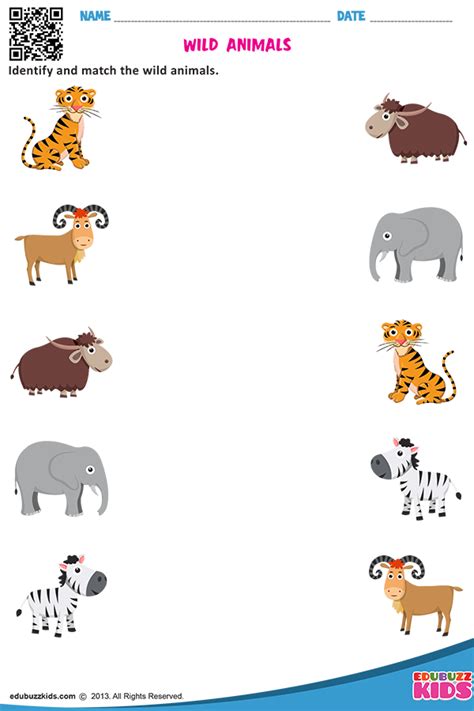 Preschool Wild Animals Worksheets For Kindergarten   kidsworksheetfun