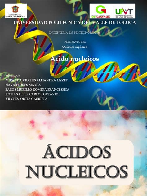 Presentación de ácido nucleicos | Rna | Replicación De Adn
