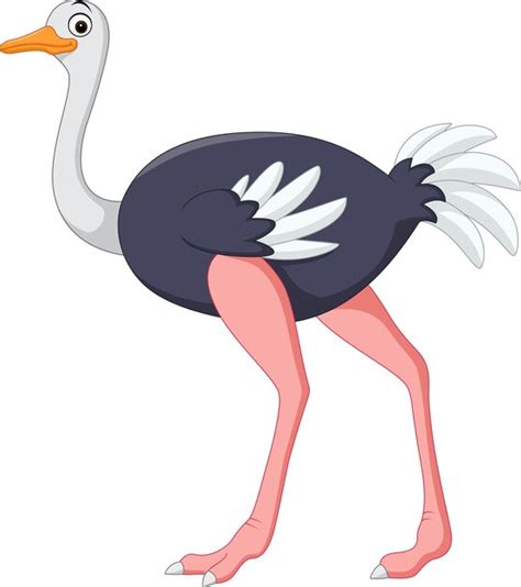 Presentación de avestruz de dibujos animados | Vector Premium