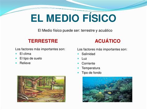 Presentación de los ecosistemas pdf