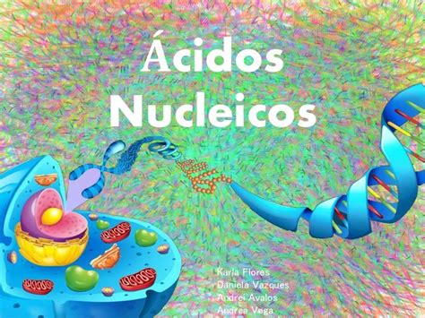 Presentacion para quimica: Acidos Nucleicos