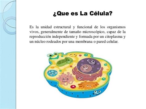 Presentación sobre las células definición. | Que es una ...