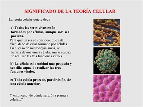 Presentación Tema 3. La célula y la teoría celular