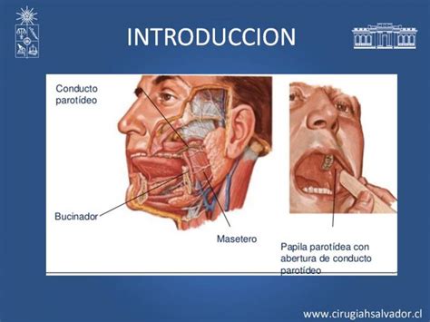 Presentaciones   Depto. Cirugía Hospital del Salvador