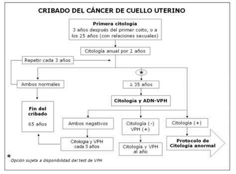Prevención del cáncer de cévix: cribado  screening ...