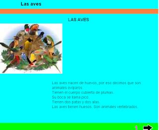 Primer Ciclo de Primaria: Las aves.