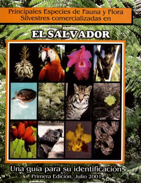 Principales especies de fauna y flora silvestres comercializadas en El ...