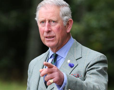 Principe Carlos de Inglaterra llama la atención del mundo sobre los ...