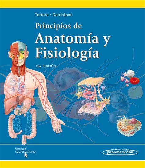 Principios de Anatomía y Fisiología Autores: Gerard J. Tortora / Bryan ...