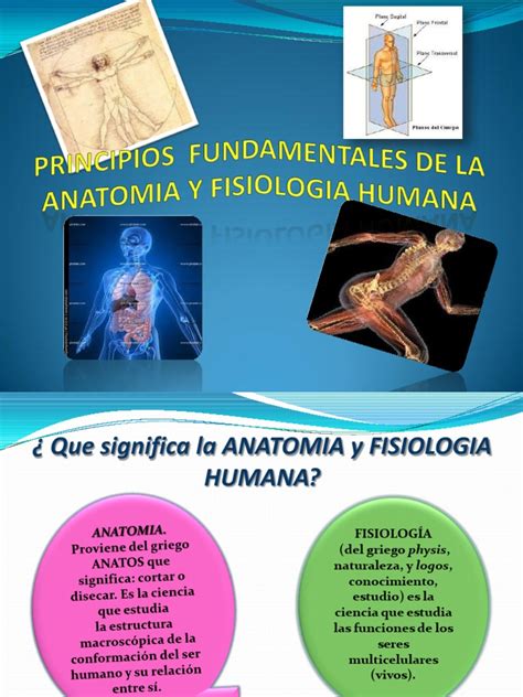 PRINCIPIOS FUNDAMENTALES DE LA ANATOMIA Y FISIOLOGIA HUMANA