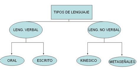 proceso de comunicacion: Funciones y tipos de lenguaje