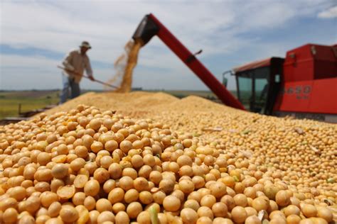 Produção de soja no Brasil cresce mais de 13% ao ano | Blog do Wagner Gil