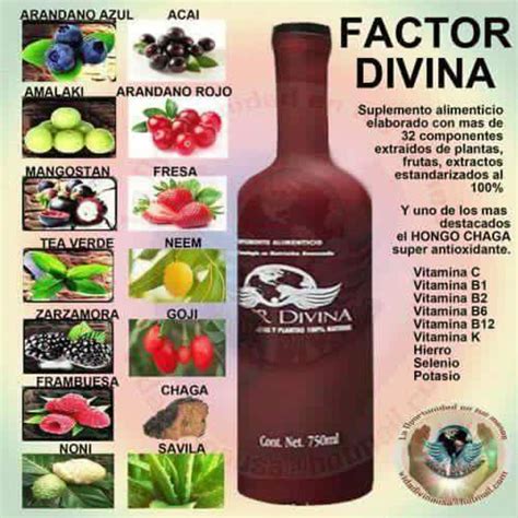 PRODUCTOS VIDA DIVINA Vida Divina Peru