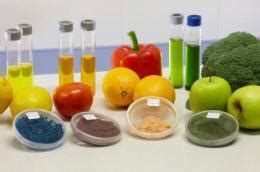Products of biotechnological origin using vegetable and ...