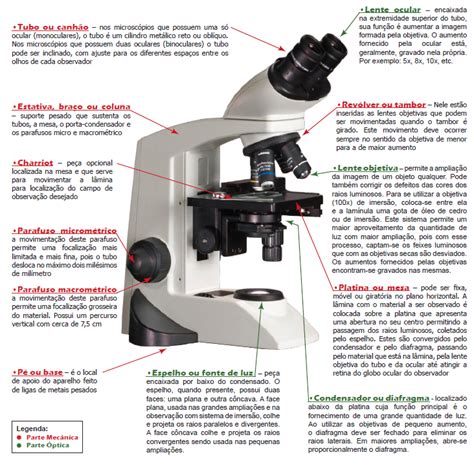Projeto Microbiologia e Saúde: Conhecendo o microscópio