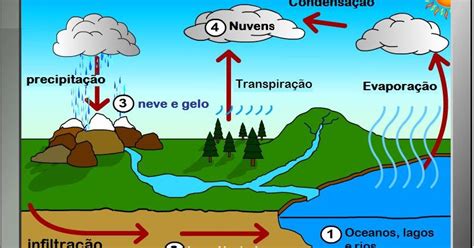projetobenicke: Geografia   Hidrografia   O ciclo hidrológico