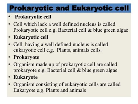 Prokaryotic and eukaryotic cell