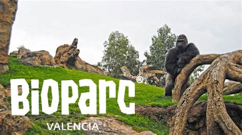 Promoción: Apartamento en Valencia con entradas a Bioparc ...