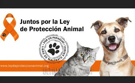Promulgan Ley de Protección y Bienestar Animal