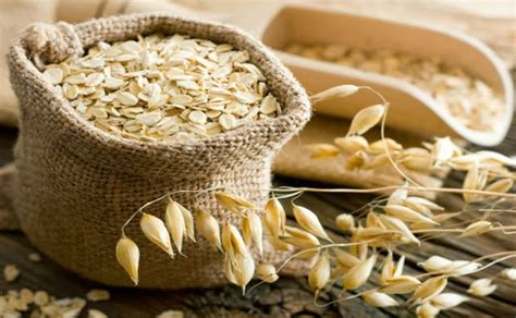 Pronostican buena cosecha para la avena y otros cereales | Chilealimentos