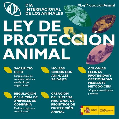 proteccion y bienestar animal, Eurocarne Digital Noticias el mercado ...