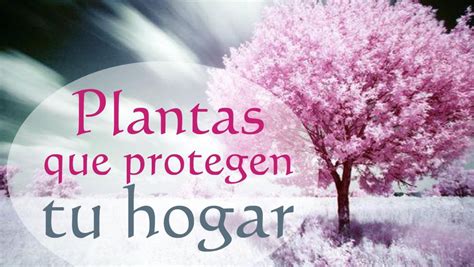 Protege tu Hogar con Plantas | Vivero El Casar ...
