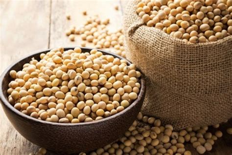 Proteína Aislada De Soya | Mercado Libre