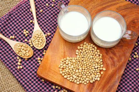 Proteína de soya: ¿Cuál es el mejor producto del 2021?