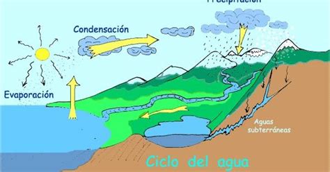 Proyecto Agua: EL CICLO DEL AGUA