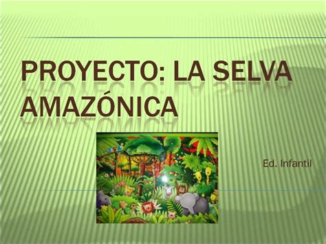Proyecto dedicado para alumnos de infantil sobre la selva ...