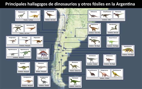 Proyecto Dinosaurios: Principales hallazgos de dinosaurios y otros ...