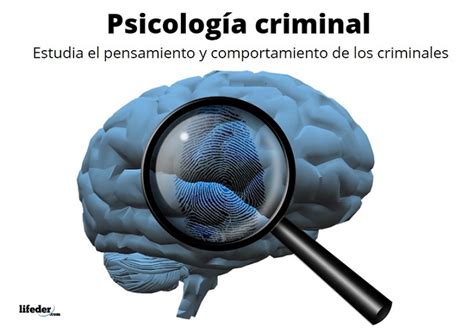 Psicología criminal: historia, qué estudia, técnicas, autores