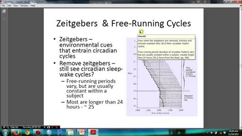 Psychology 306 Biopsychology   Chapter 14  Zeitgebers and ...