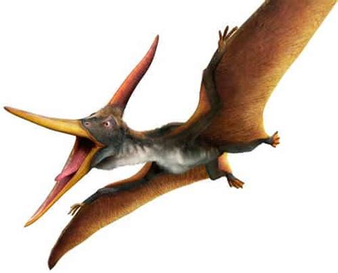 Pteranodon: el pescador de los cielos