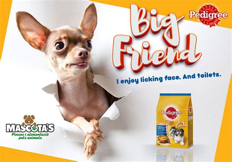 Publicidad tienda de mascotas | Pet advertising, Web ...