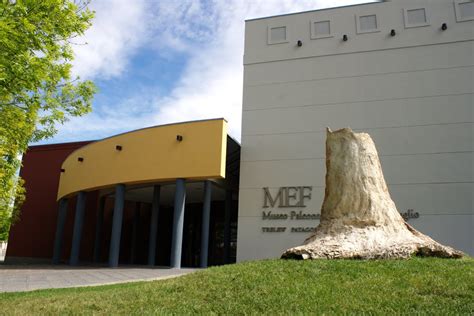 PUERTO MADRYN: Museo Paleontológico