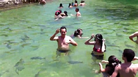 Pure Nature, Bonito MS Brazil, bath with fish   YouTube