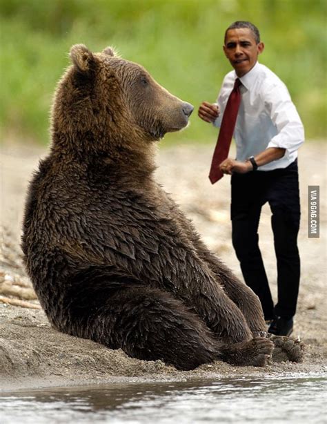 Putin Bear vs Obama   somehow I have a feeling this may ...
