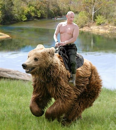 Putin riding a bear | Funny stuff | Pinterest | Bears