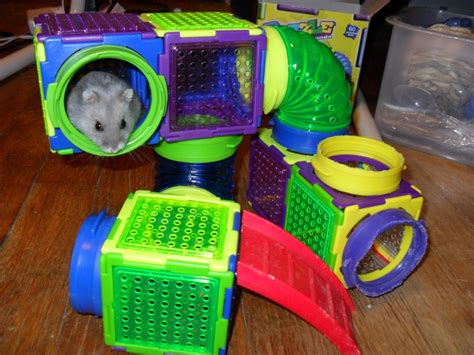 Puzzle Playgrounds are the best! :   | Hamster house, Pet ...