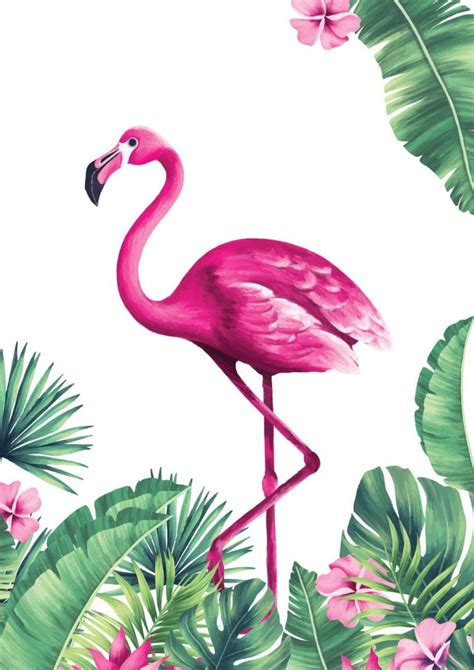Quadros de flamingo para imprimir   Poster decorativo