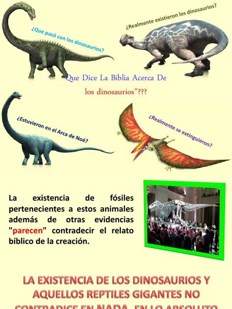 Que Dice La Biblia Acerca de Los Dinosaurios  2 ...
