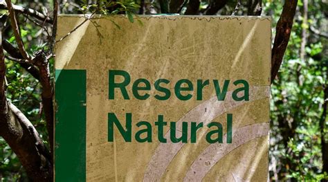 ¿Qué entendemos por un área natural protegida?