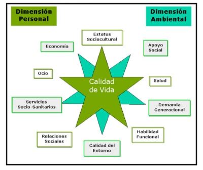 Que Es Calidad De Vida Segun La Oms   brilarinig30526