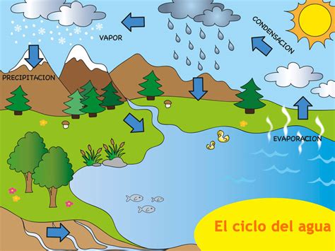 ¿Qué es el ciclo del agua? Resumen para niños