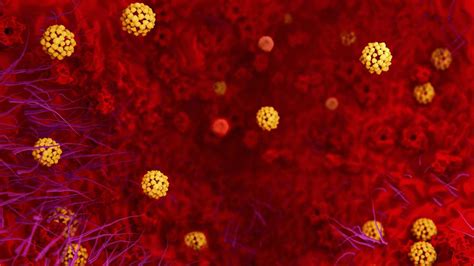 Qué es el coronavirus o neumonía de Wuhan y cómo se contagia